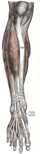 Thumbnail for version as of 17:59, 23 January 2007